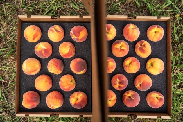 Palisade Peaches: Delicious Colorado History