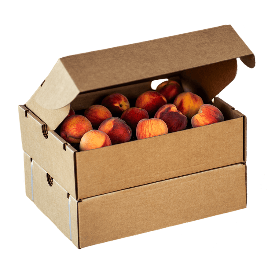 Palisade Peaches: Delicious Colorado History