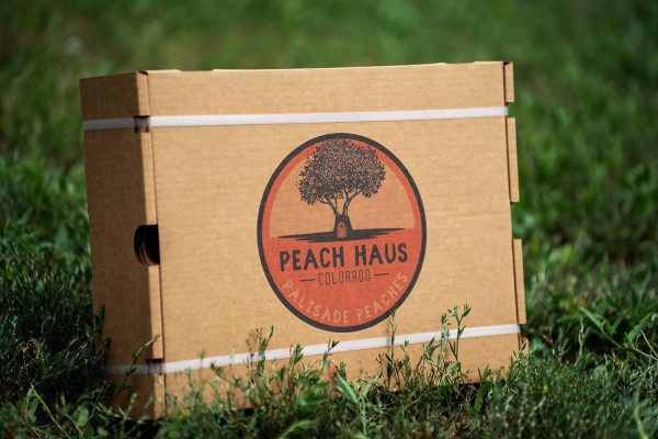 Palisade Peach Box – 13 Peaches - Image 3