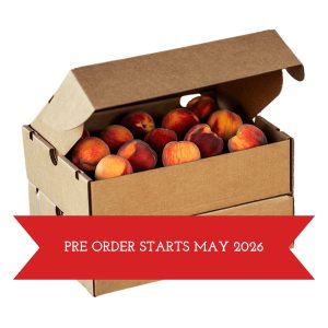 Palisade Peach Double Box – 26 Peaches
