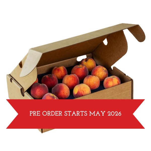 Palisade Peach Box – 13 Peaches