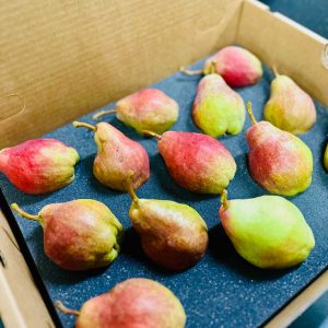 Pears Only Box