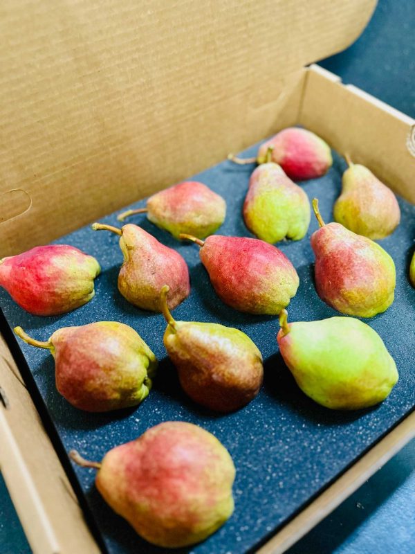 Pears Only Box